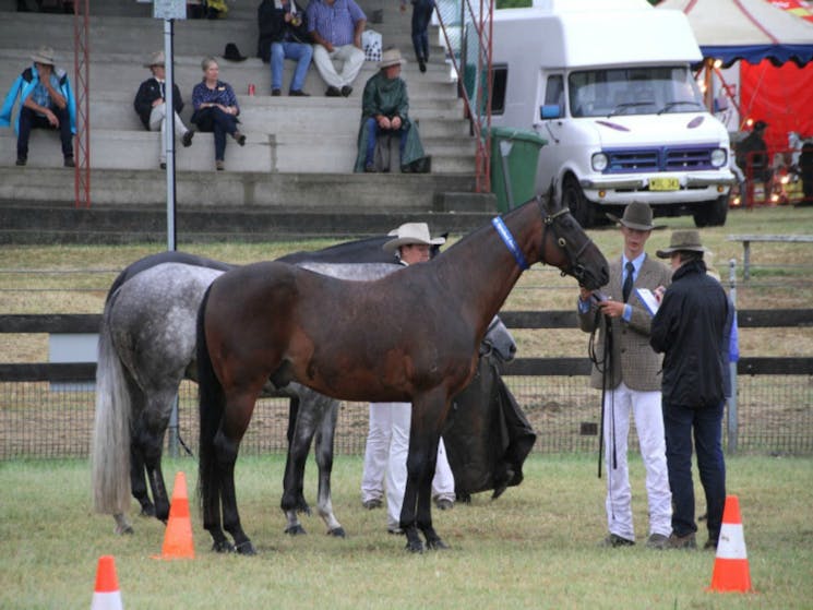 Gresford Show