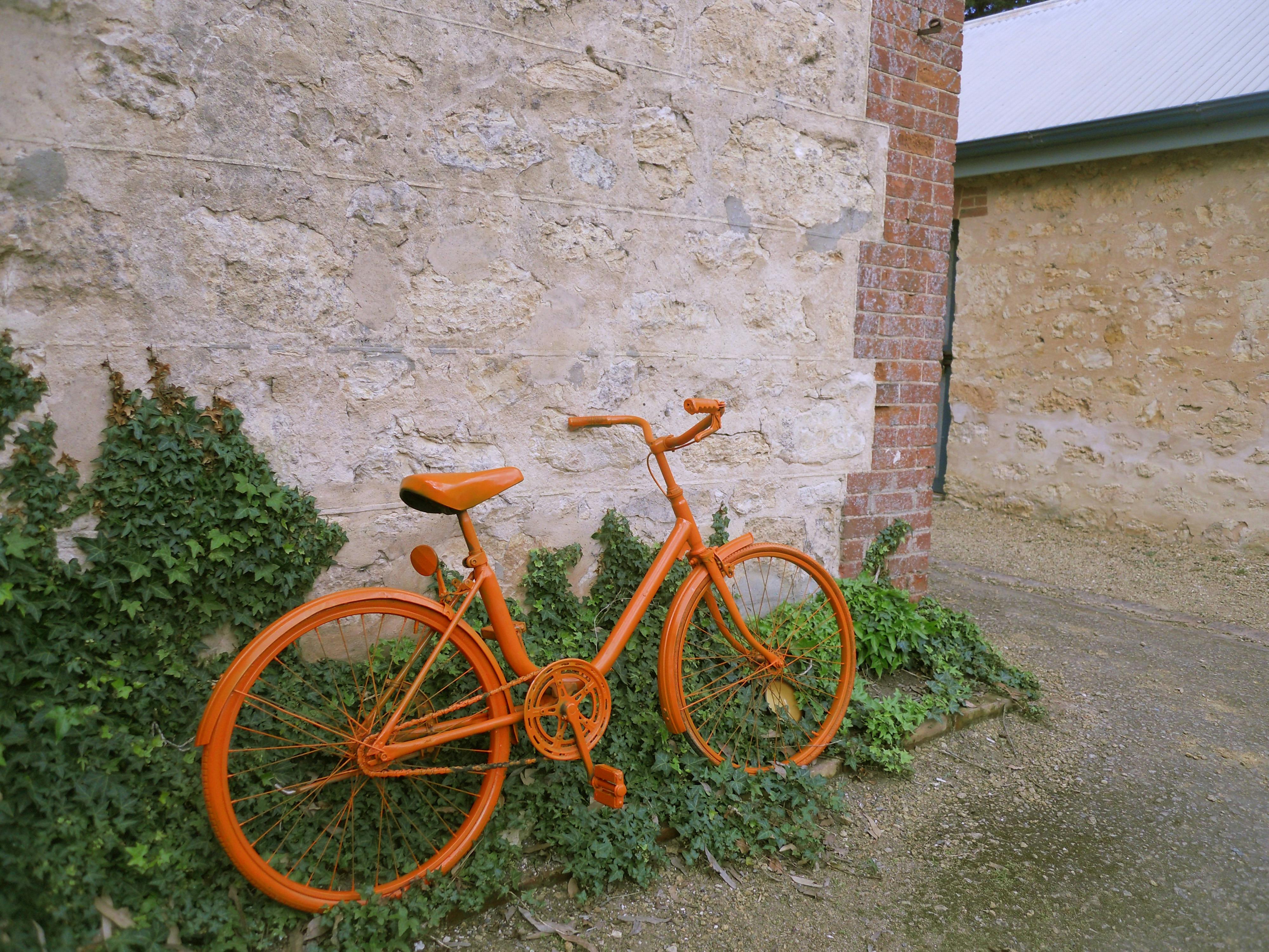 South Coast Regional Art Centre