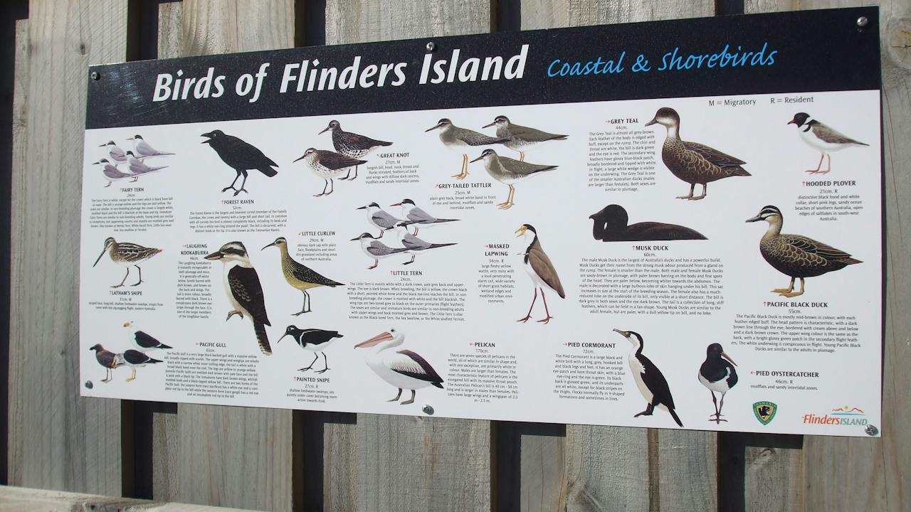 Adelaide Bay Bird Hide