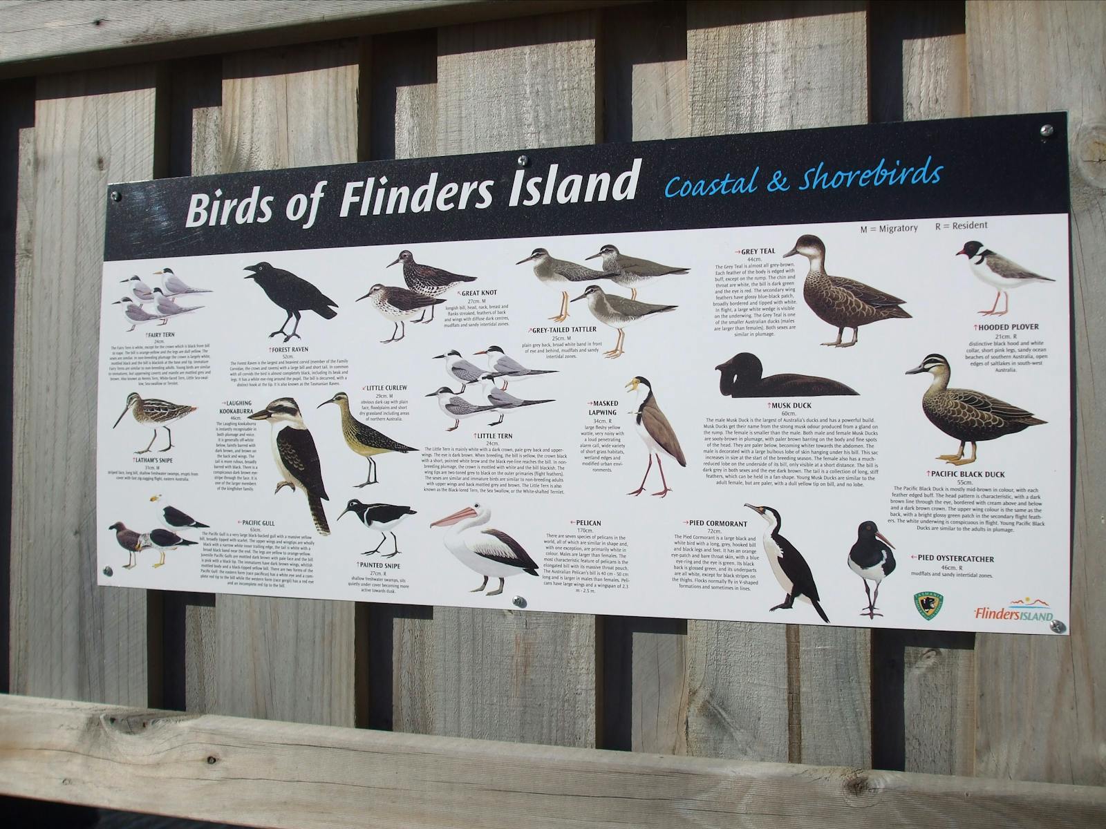 Adelaide Bay Bird Hide Flinders Island Tasmania