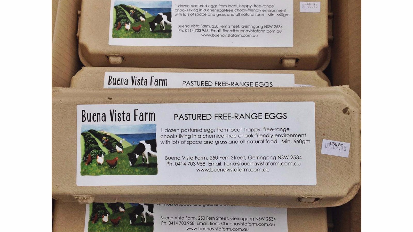 Buena Vista Farm