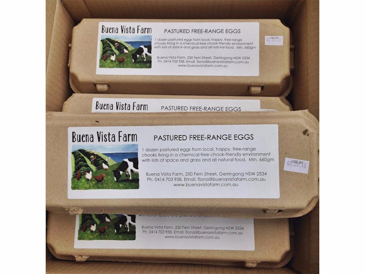 Fresh Eggs from Buena Vista Farm