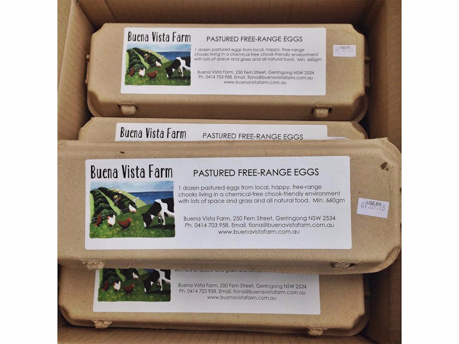 Fresh Eggs from Buena Vista Farm