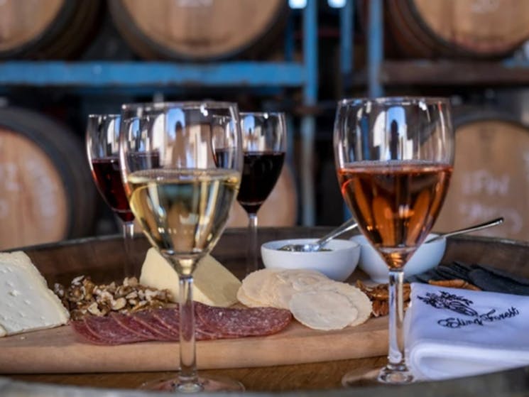 Wine glasses at a wine tasting experience