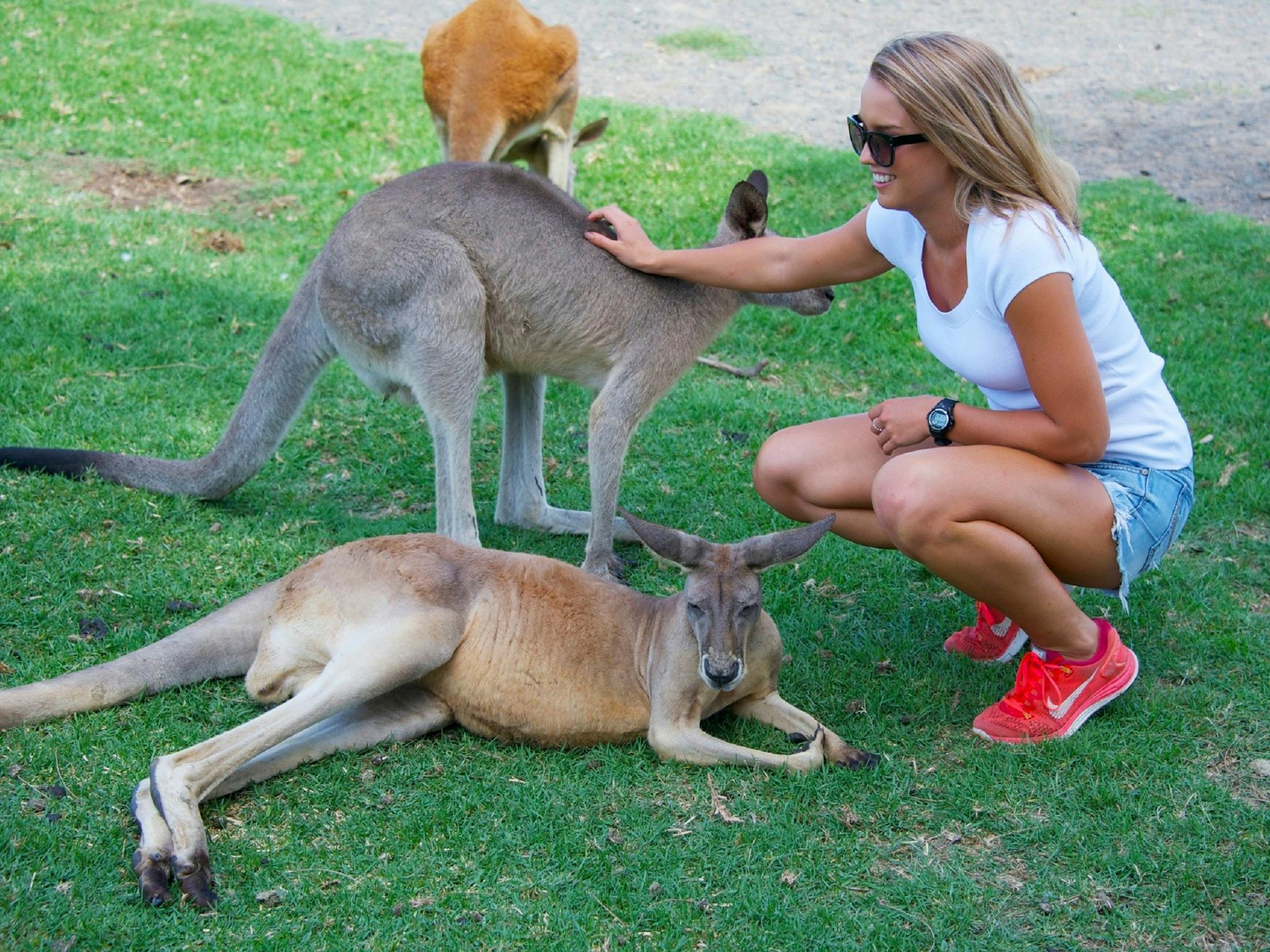A female guest crouched down patting a kangaroo while another kangaroo is laying at her feet