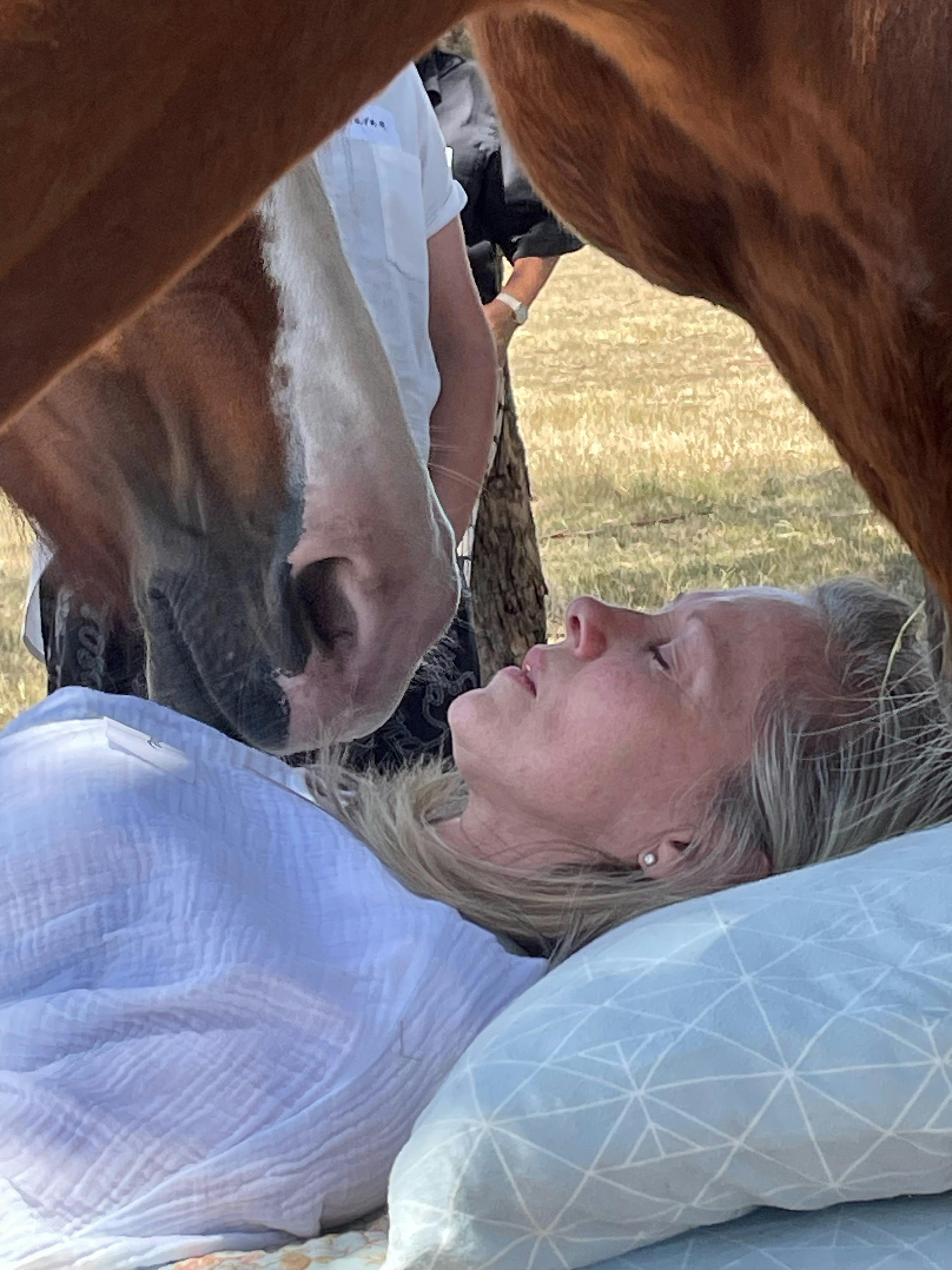 Five Day Healing with Horses and Wellness Retreat