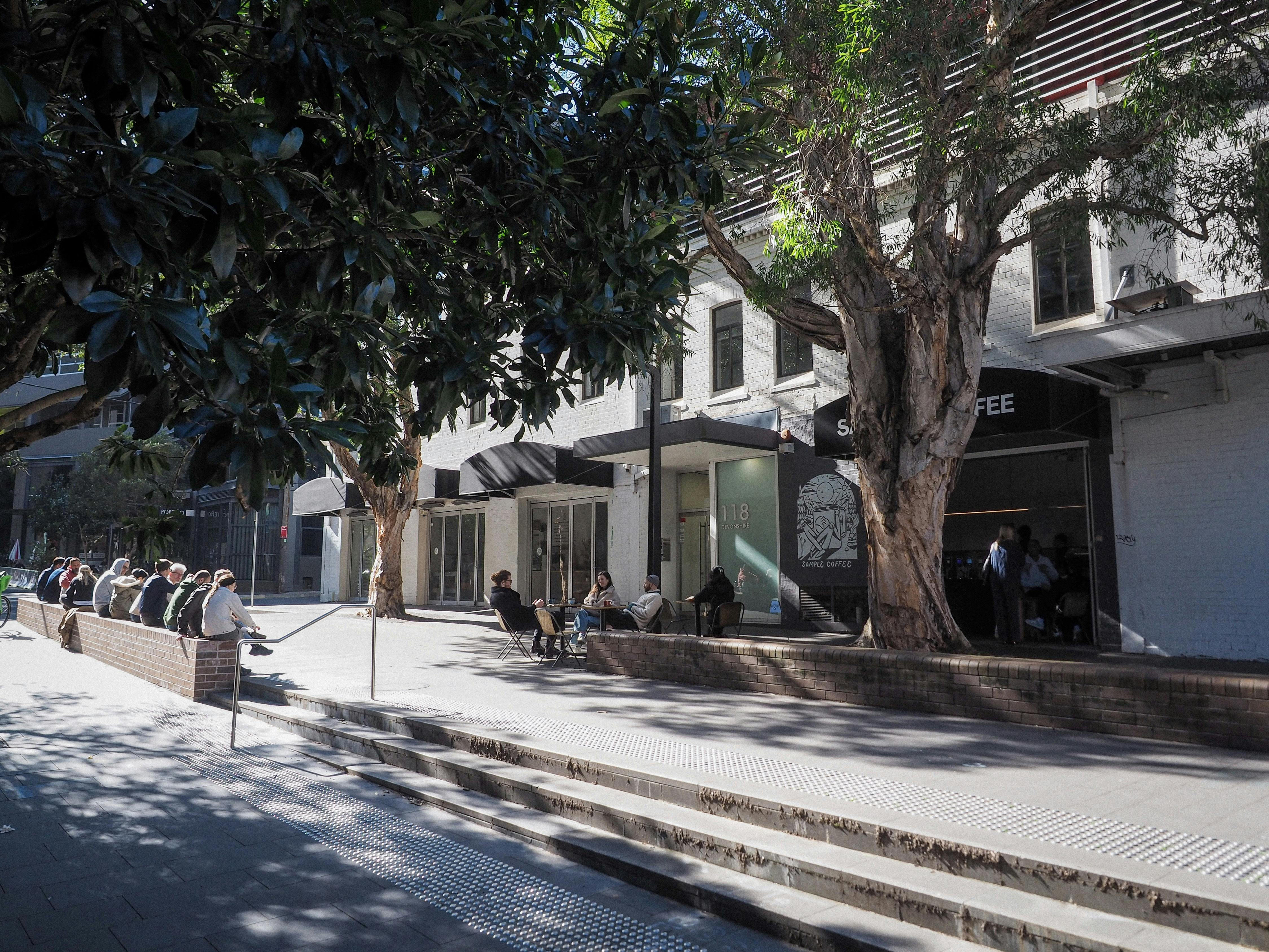Trees and outdoor seating outside Sample Coffee Surry Hills.
