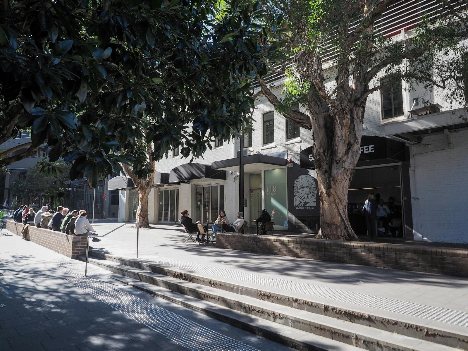 Trees and outdoor seating outside Sample Coffee Surry Hills.