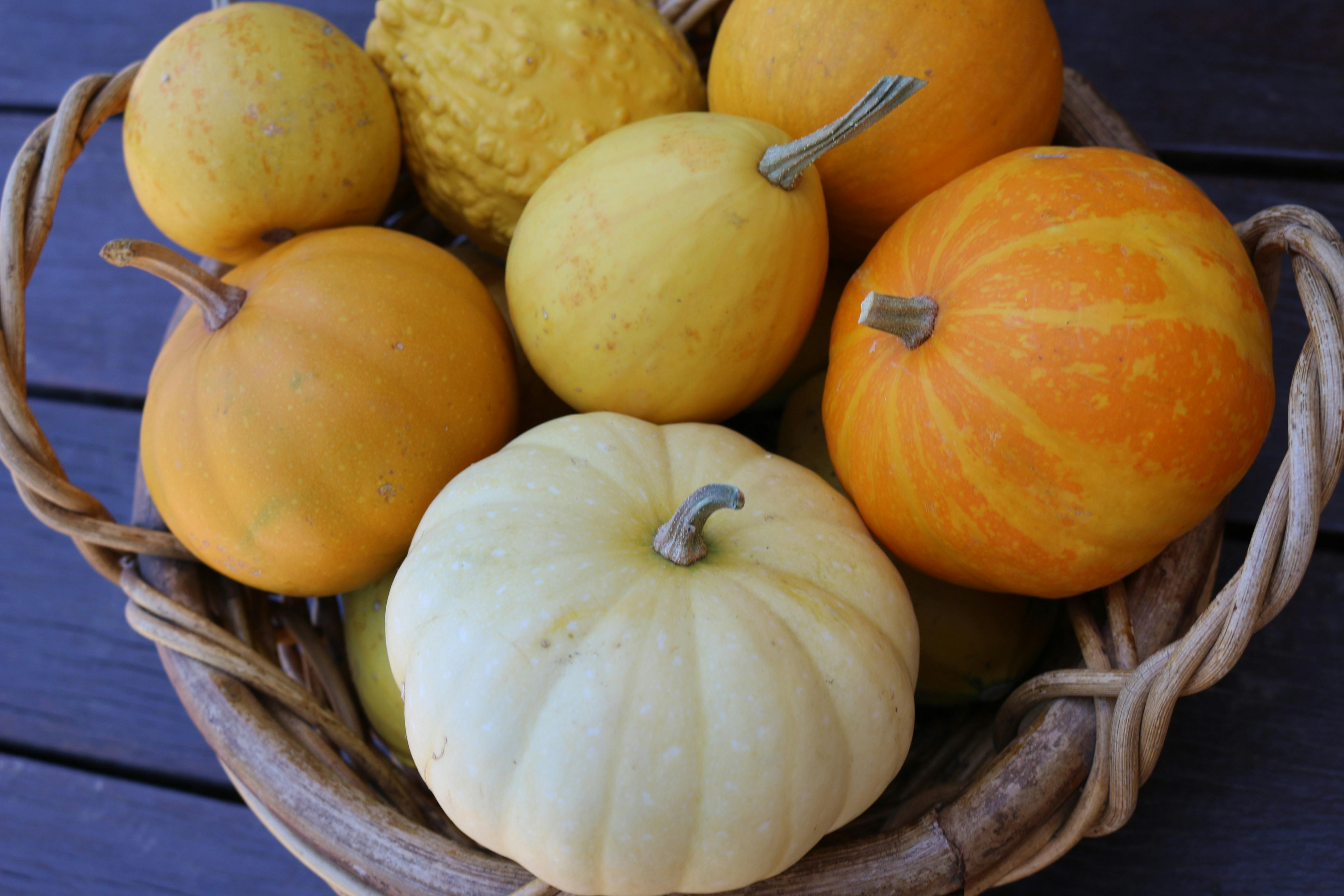 A basket of small orange pumkins