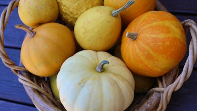 A basket of small orange pumkins