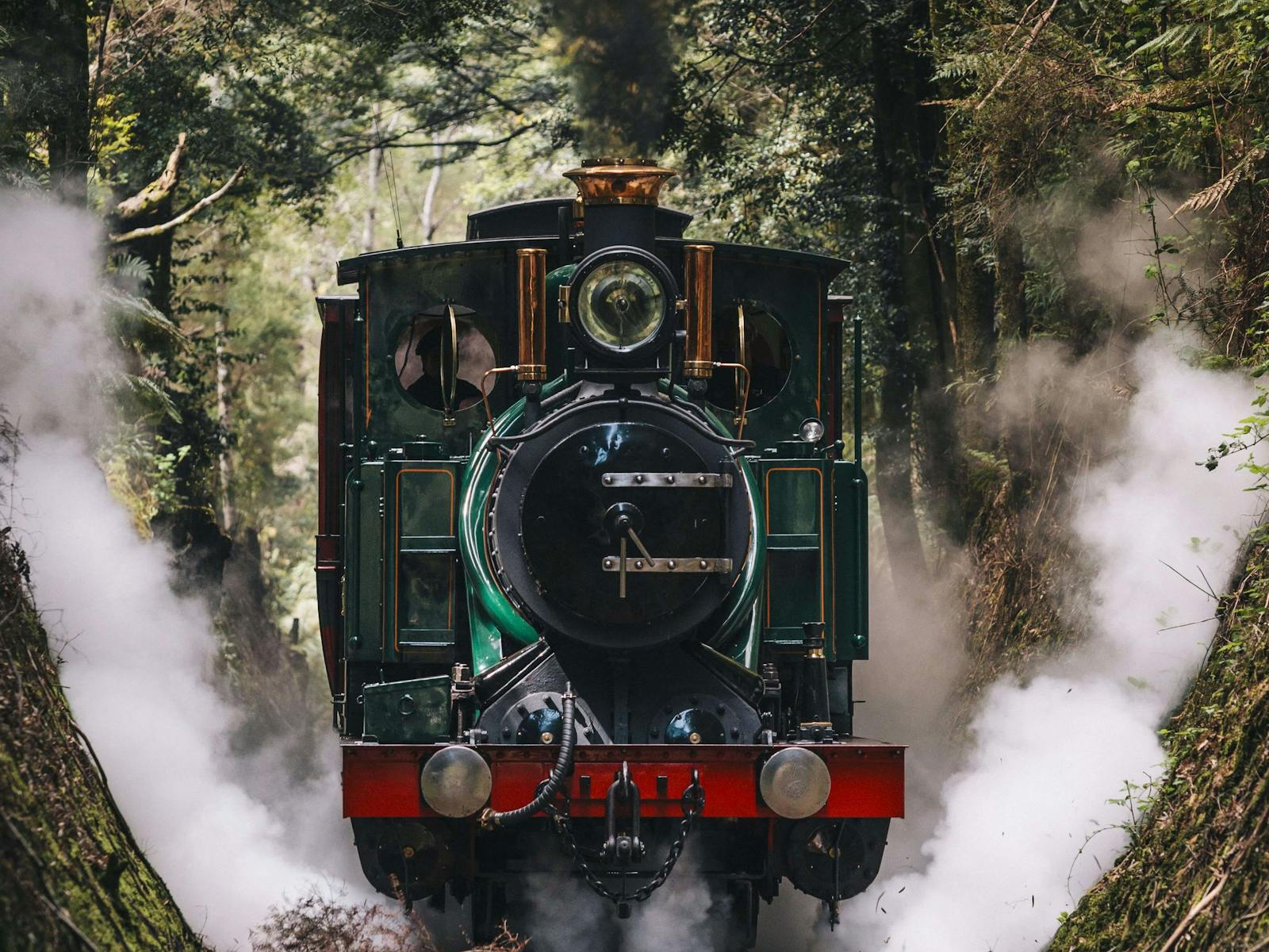 A heritage green locomotive steams through a cutting in the rainforest