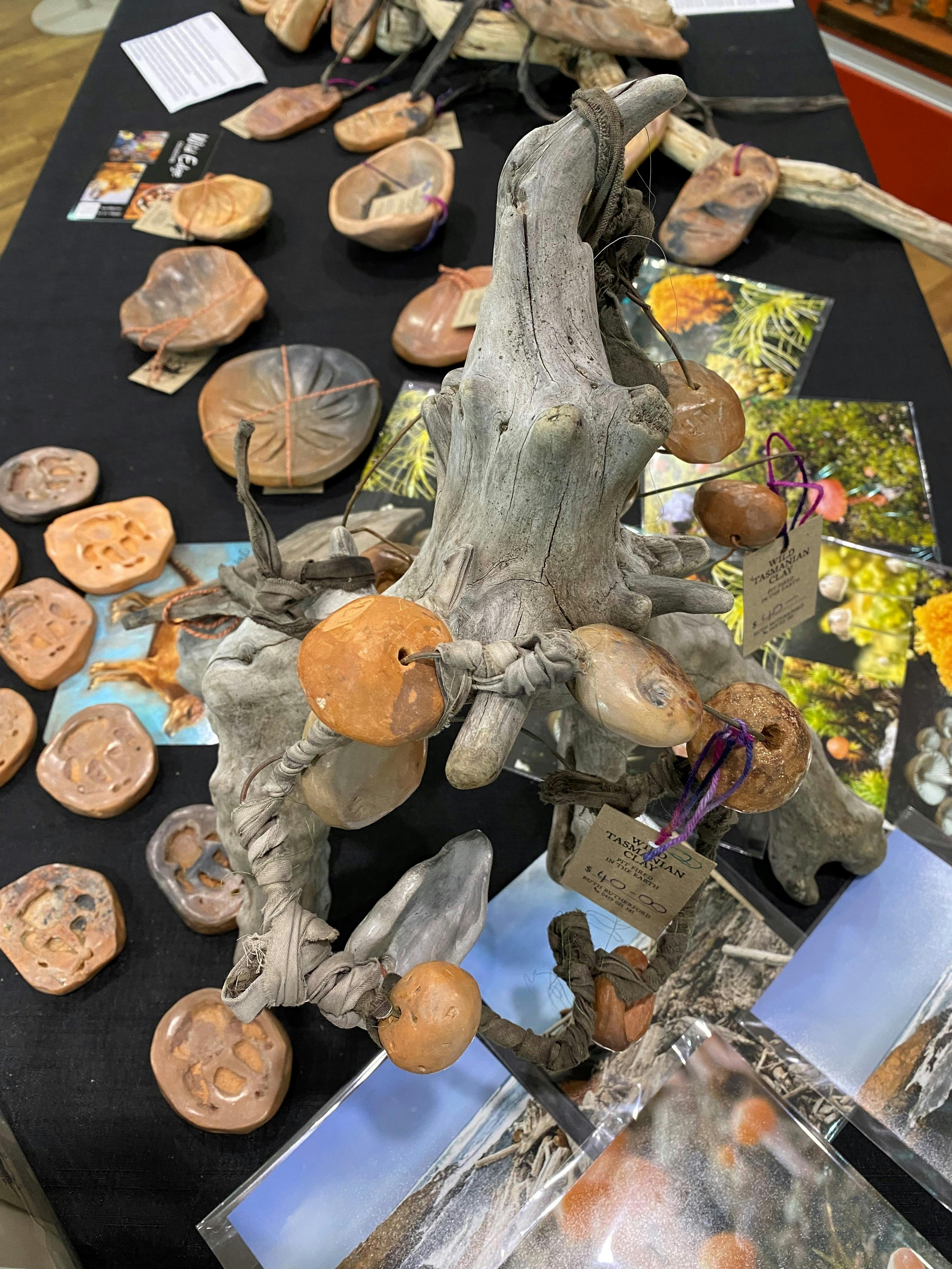 Whimsical & Wild Exhibition