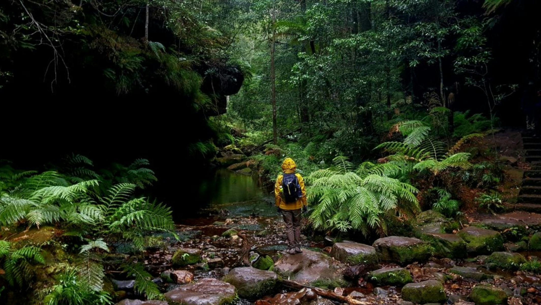 Blue Mountains Traverse Lux - 7-Day Self-Guided