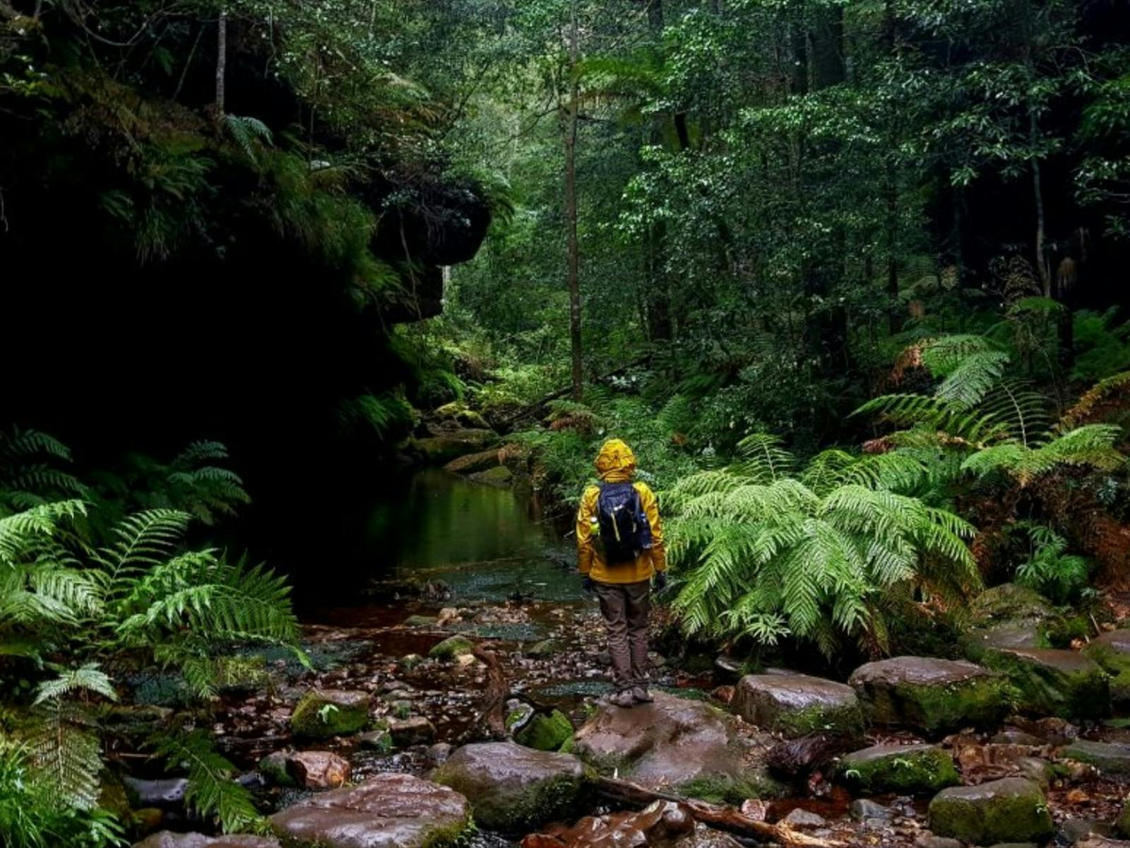 7일 럭스 블루 마운틴 트래버스 7