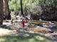 Delatite River rocky pools at Mirimbah Park