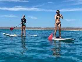 SUP at Exmouth tour