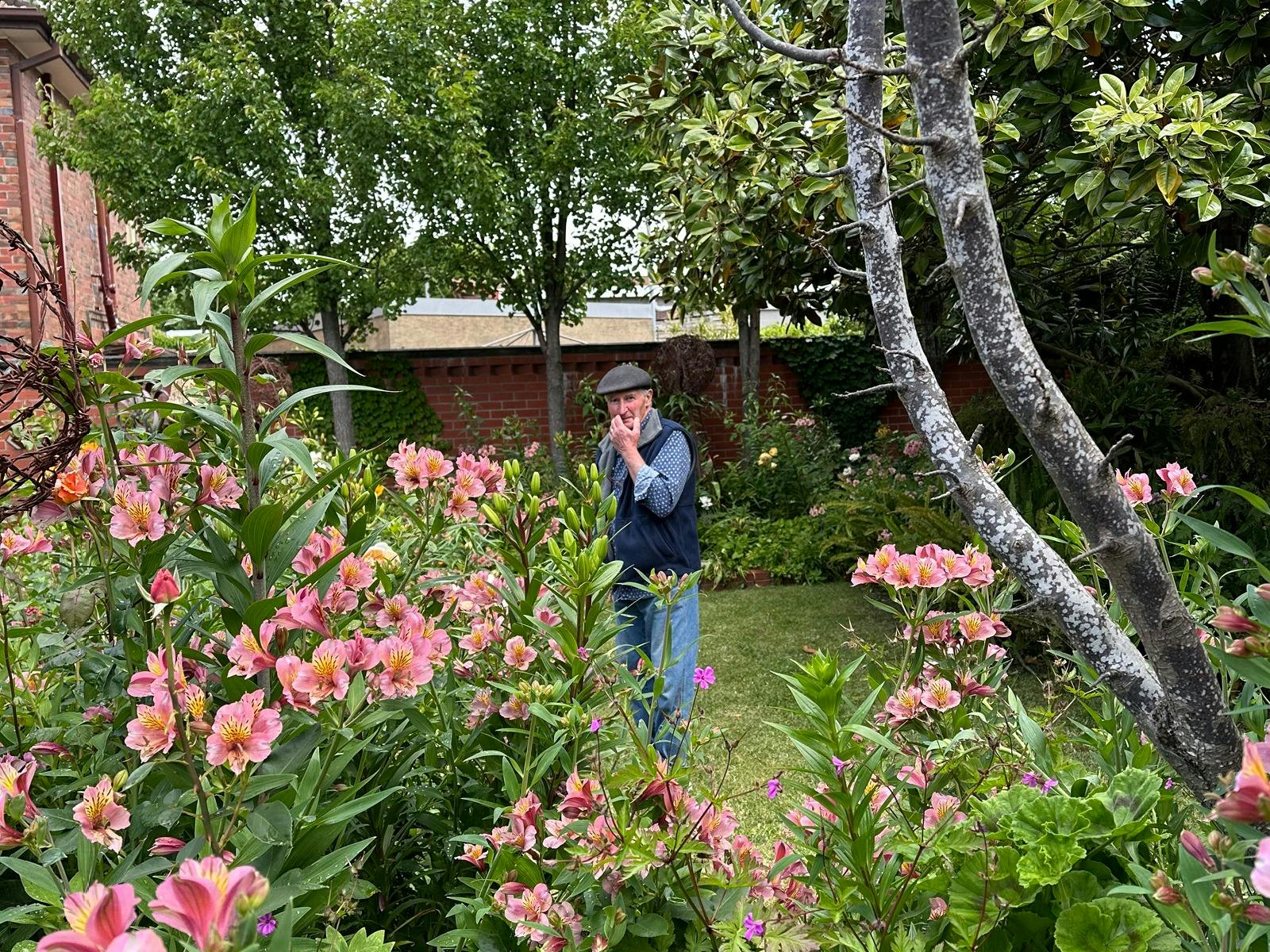 Flowering lillies and gardener