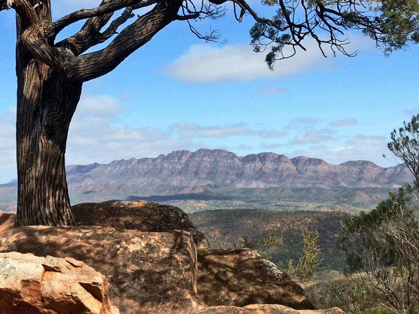 Bridle Gap Lookout, Flinders Ranges