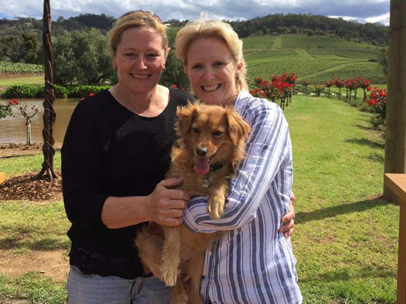 Ivanhoe Wines