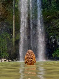 Woman standing in the water in front of Millaa Millaa Falls on the Atherton Tablelands