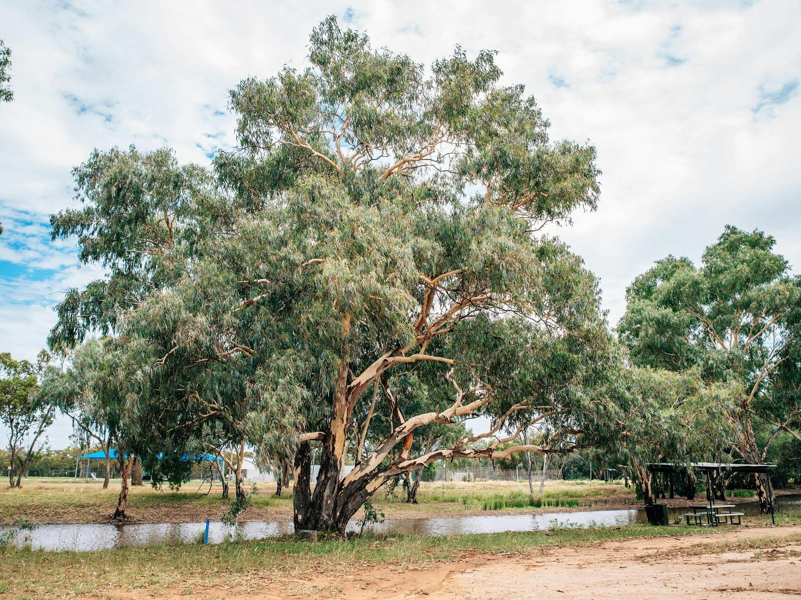 Sadleir's Waterhole