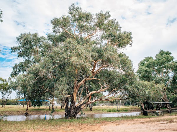 Sadleir's Waterhole