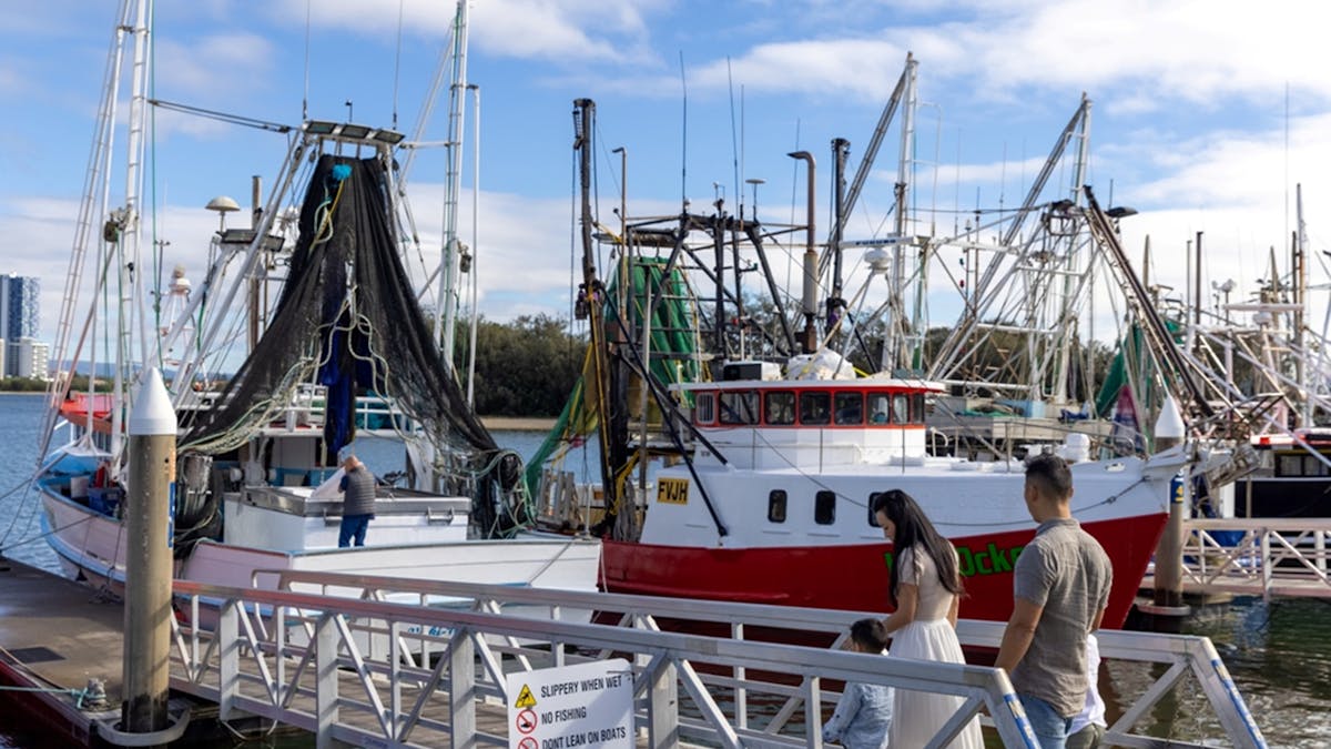 Buy seafood directly from our fishermen