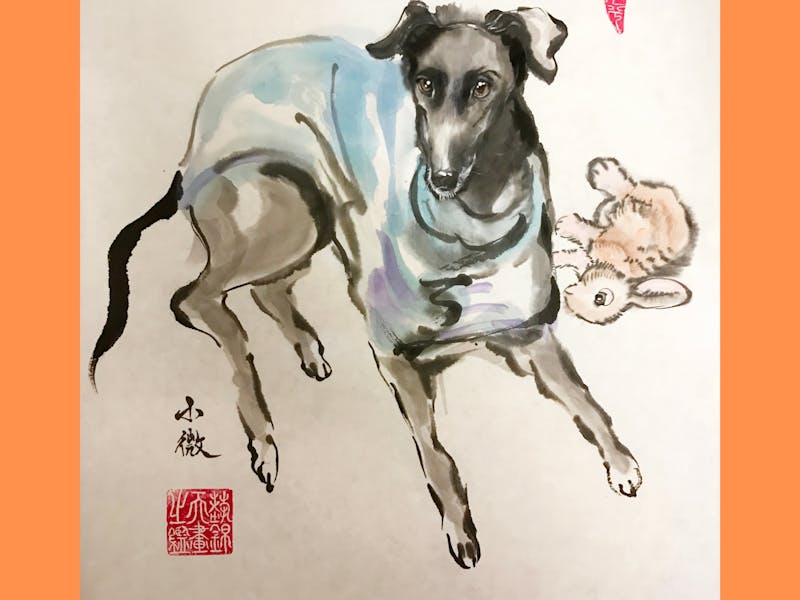 Pet friends with Lucy Wang