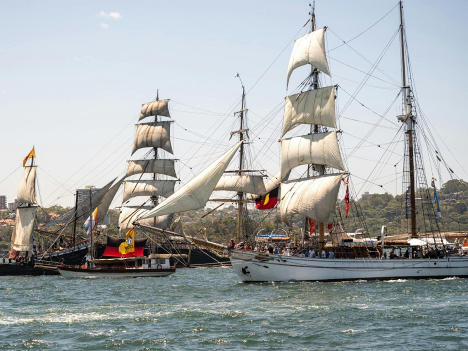 Tall Ships Race