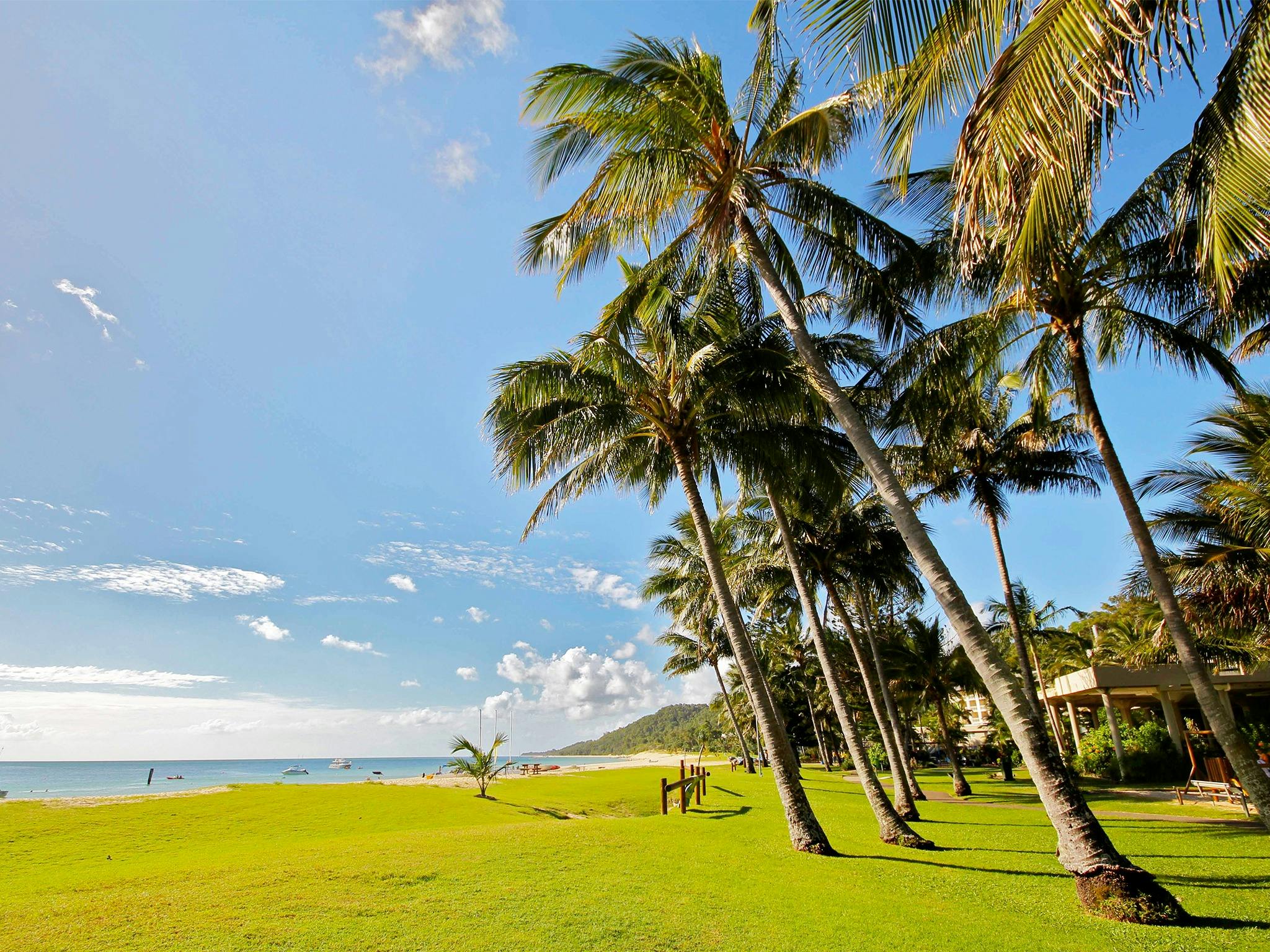 Tangalooma palm