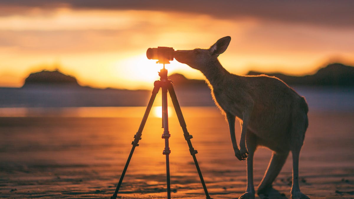 Getting the perfect shot!