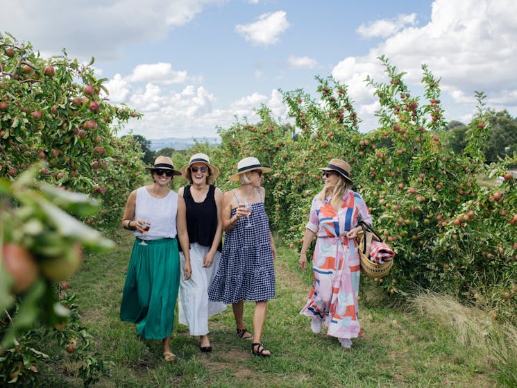 Group walking through Printhie Wines orchard