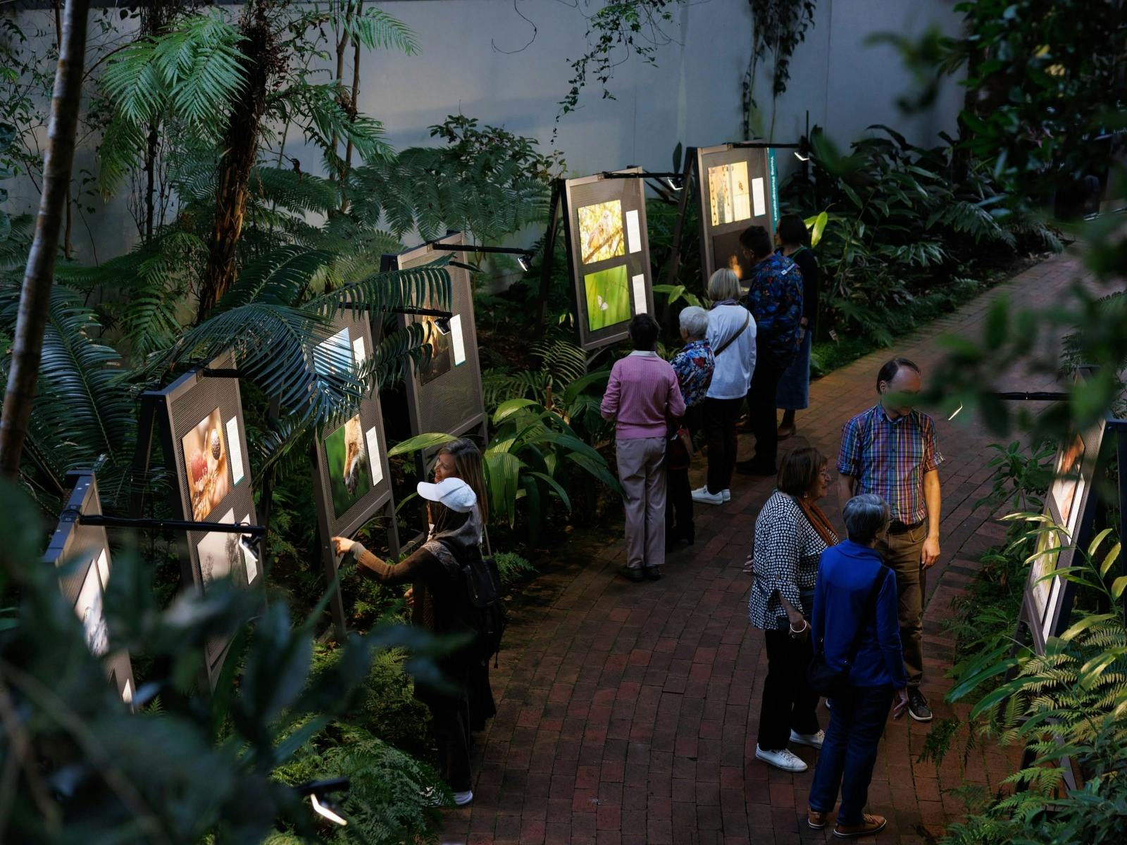 A birdseye view of people looking at photos inside a building with plants surrounding them,