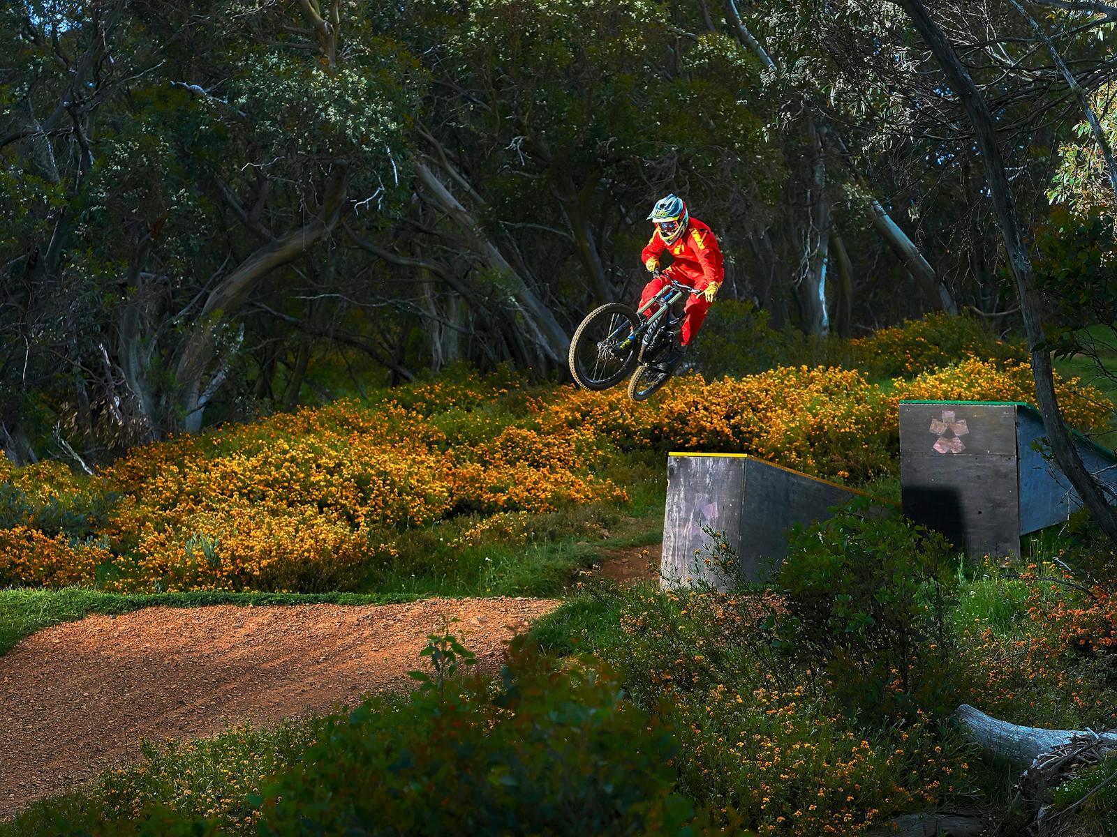 Image for Victorian Downhill Mountain Bike Series