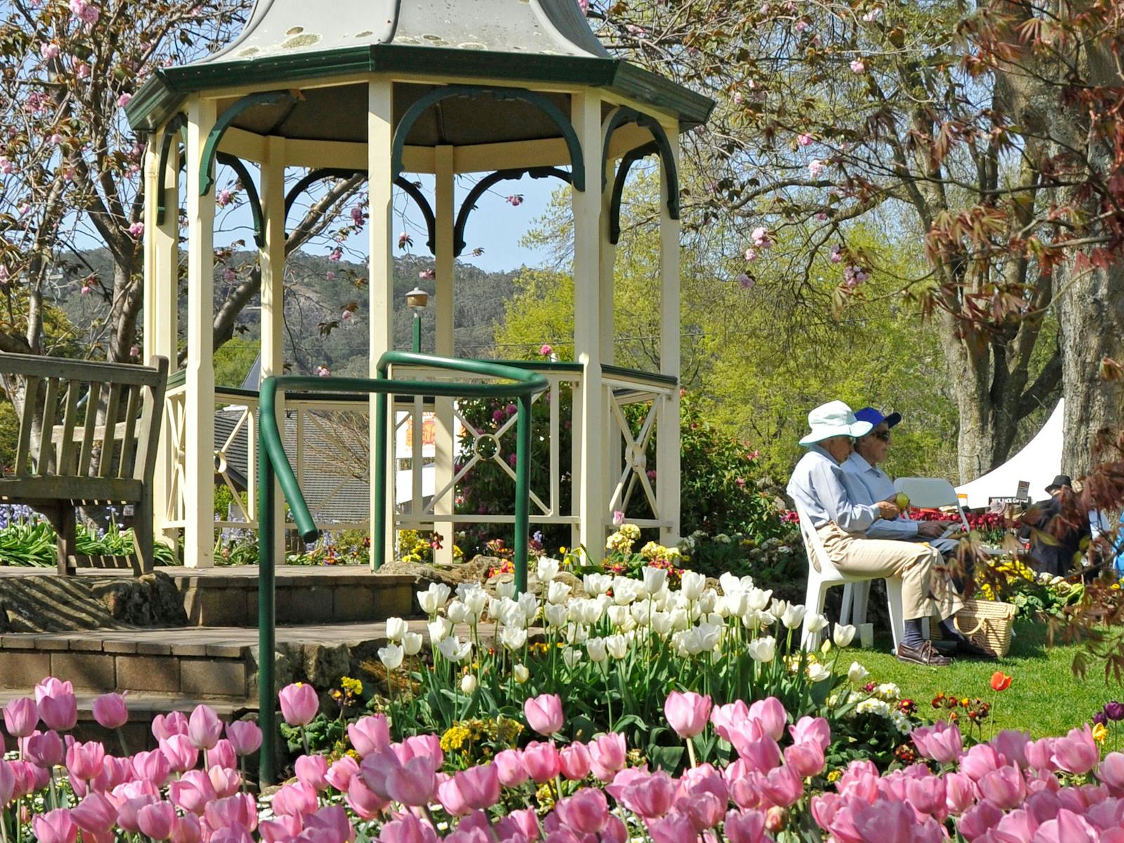 Image for Tulip Time Festival