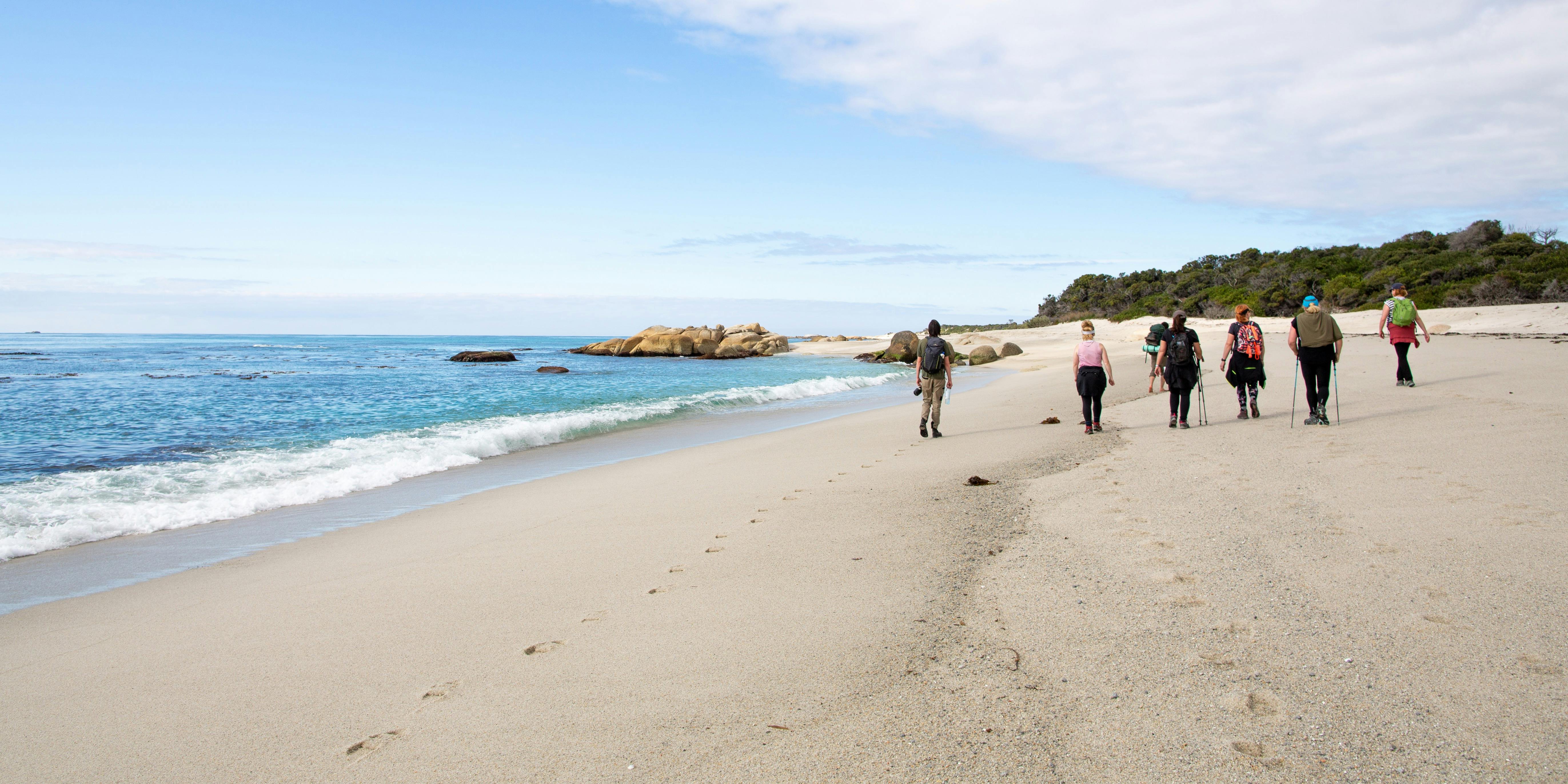 Visit Northern Tasmania | wukalina Walk