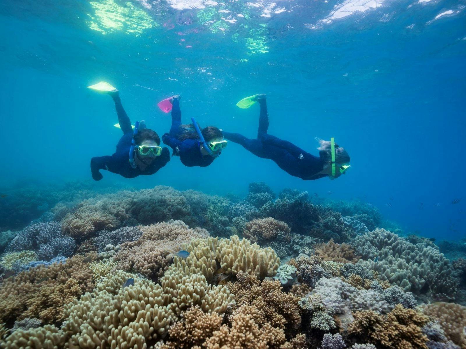A group of friends snorkelling