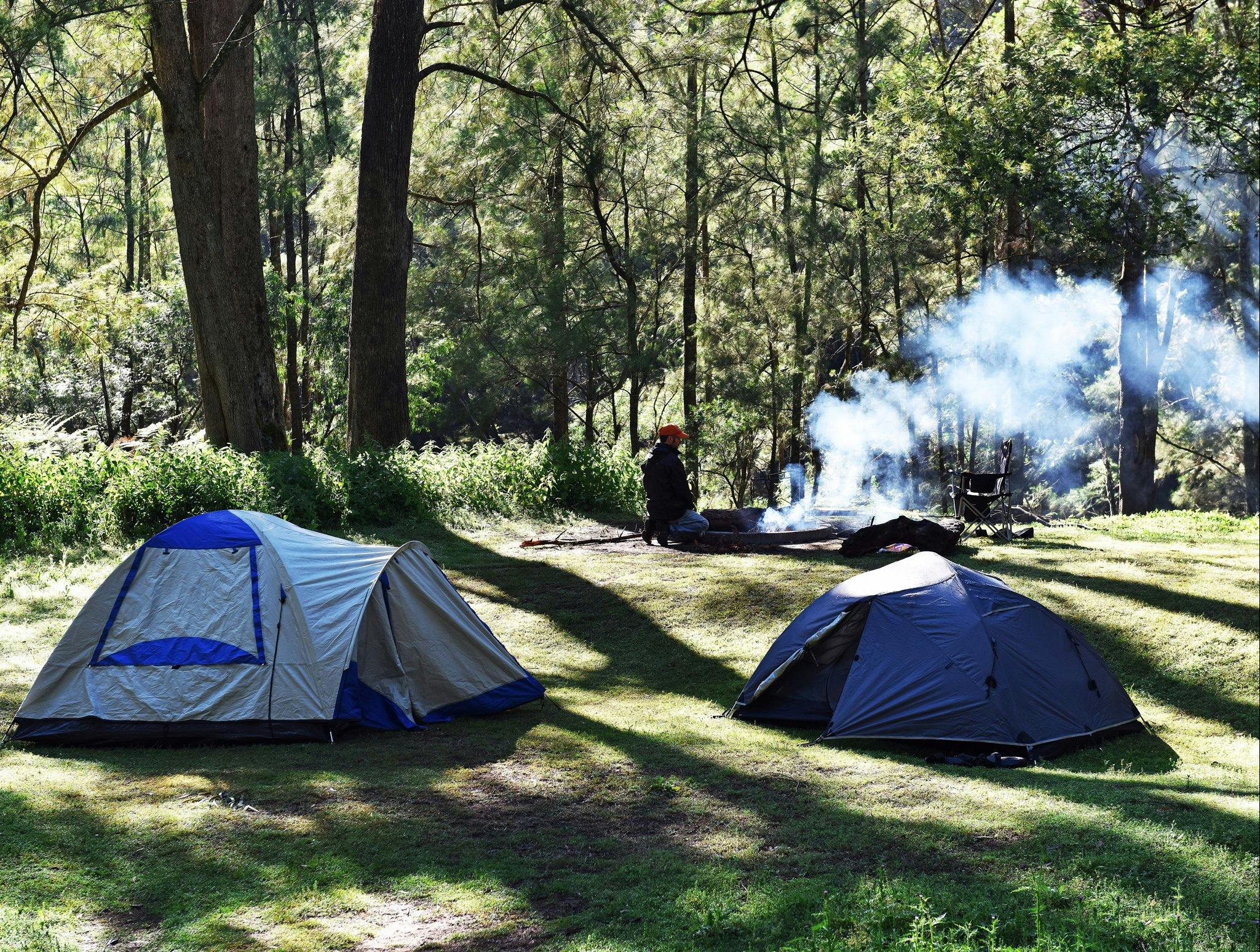Nature Engagement Tours