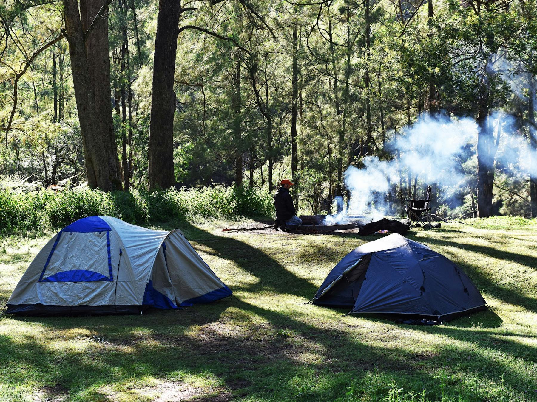 Nature Engagement Tours