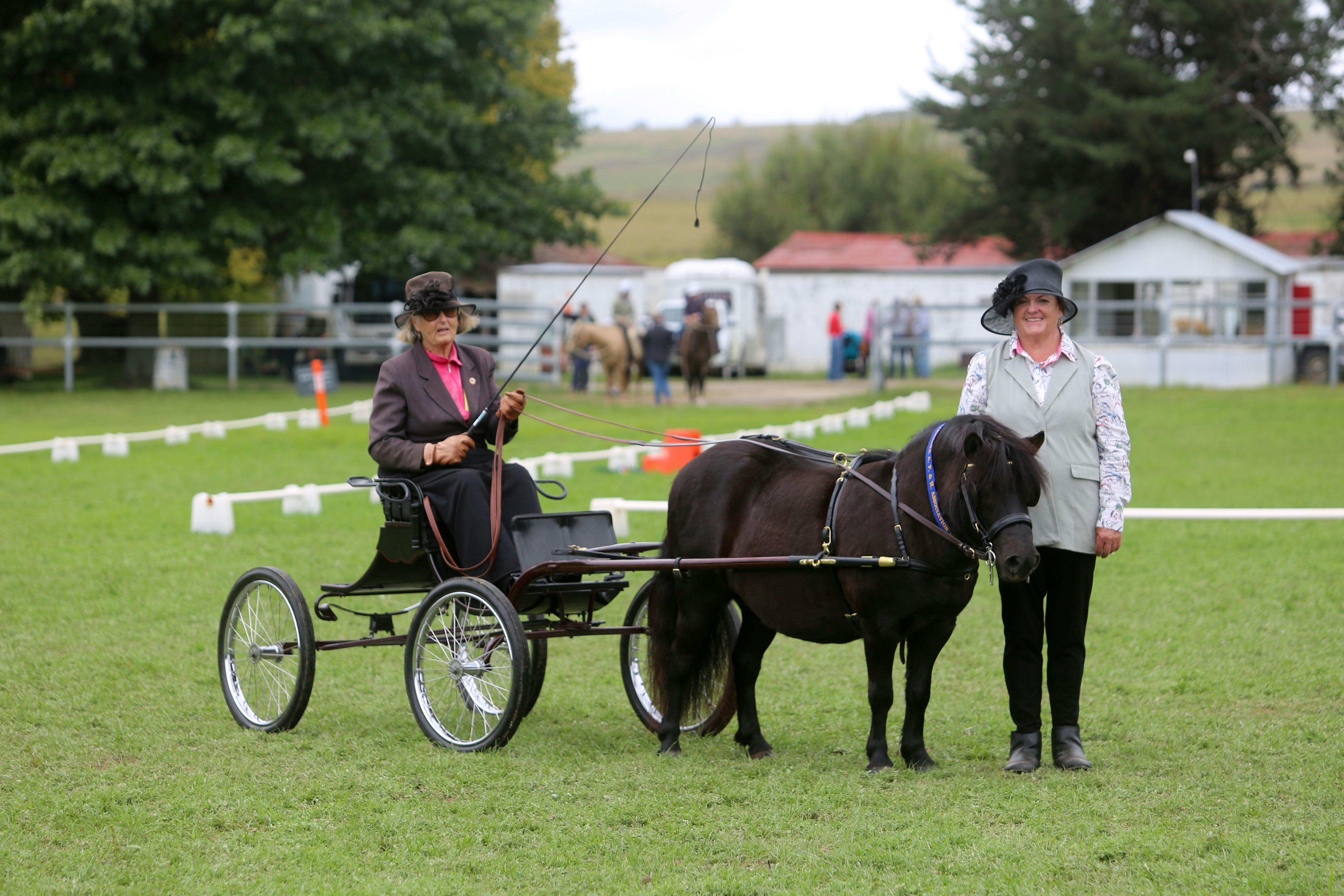 Taralga AP&H Show