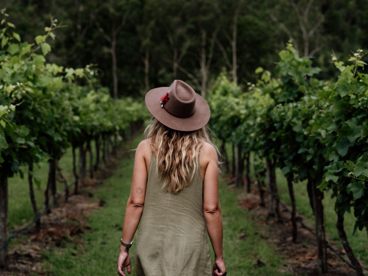 Witches Falls Winery Witches Falls Winery