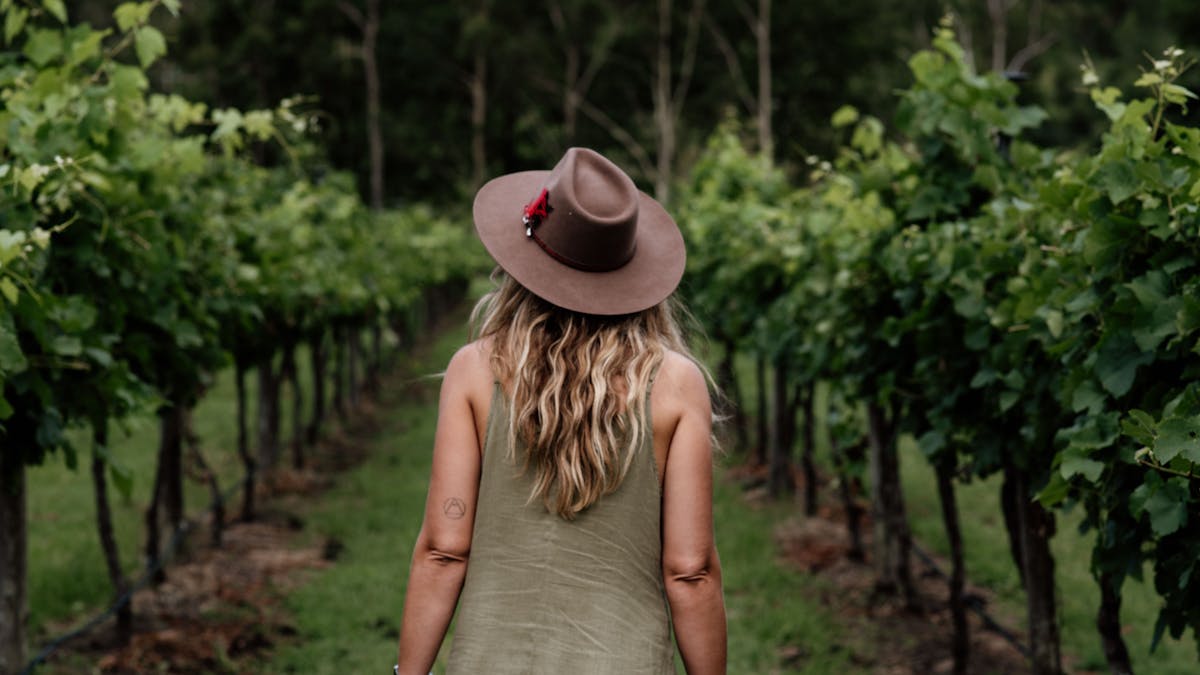 Witches Falls Winery