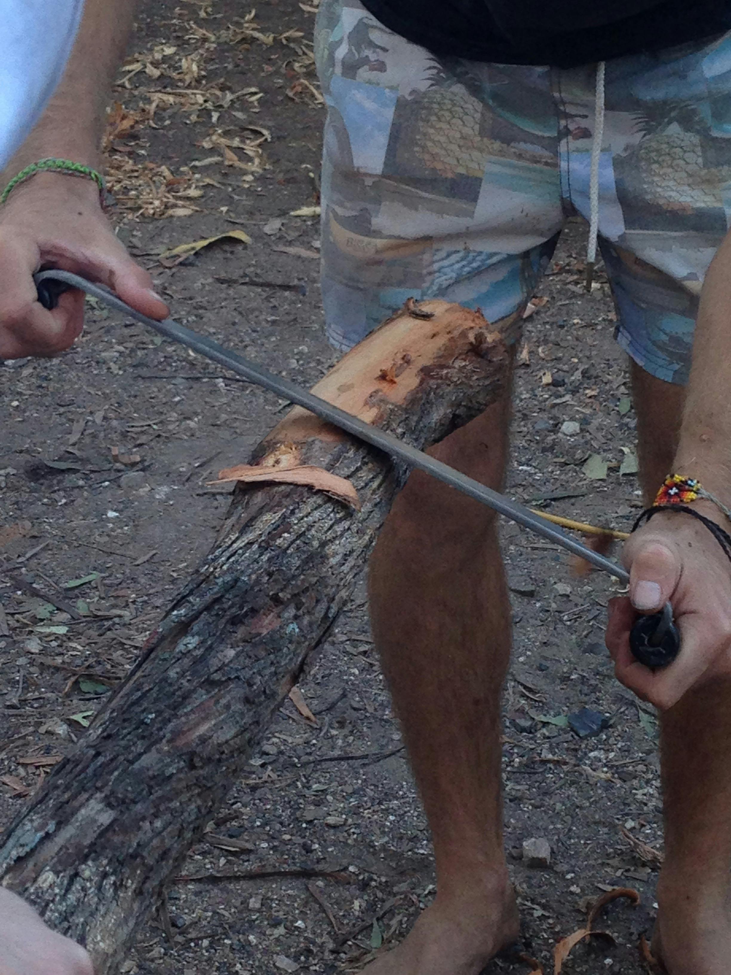 Didgeridoo Festivals