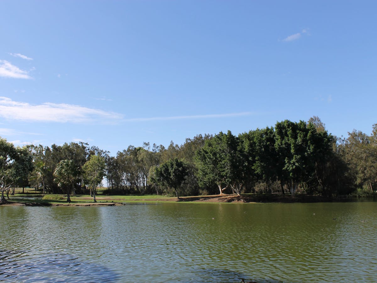 Moore Park Wetlands