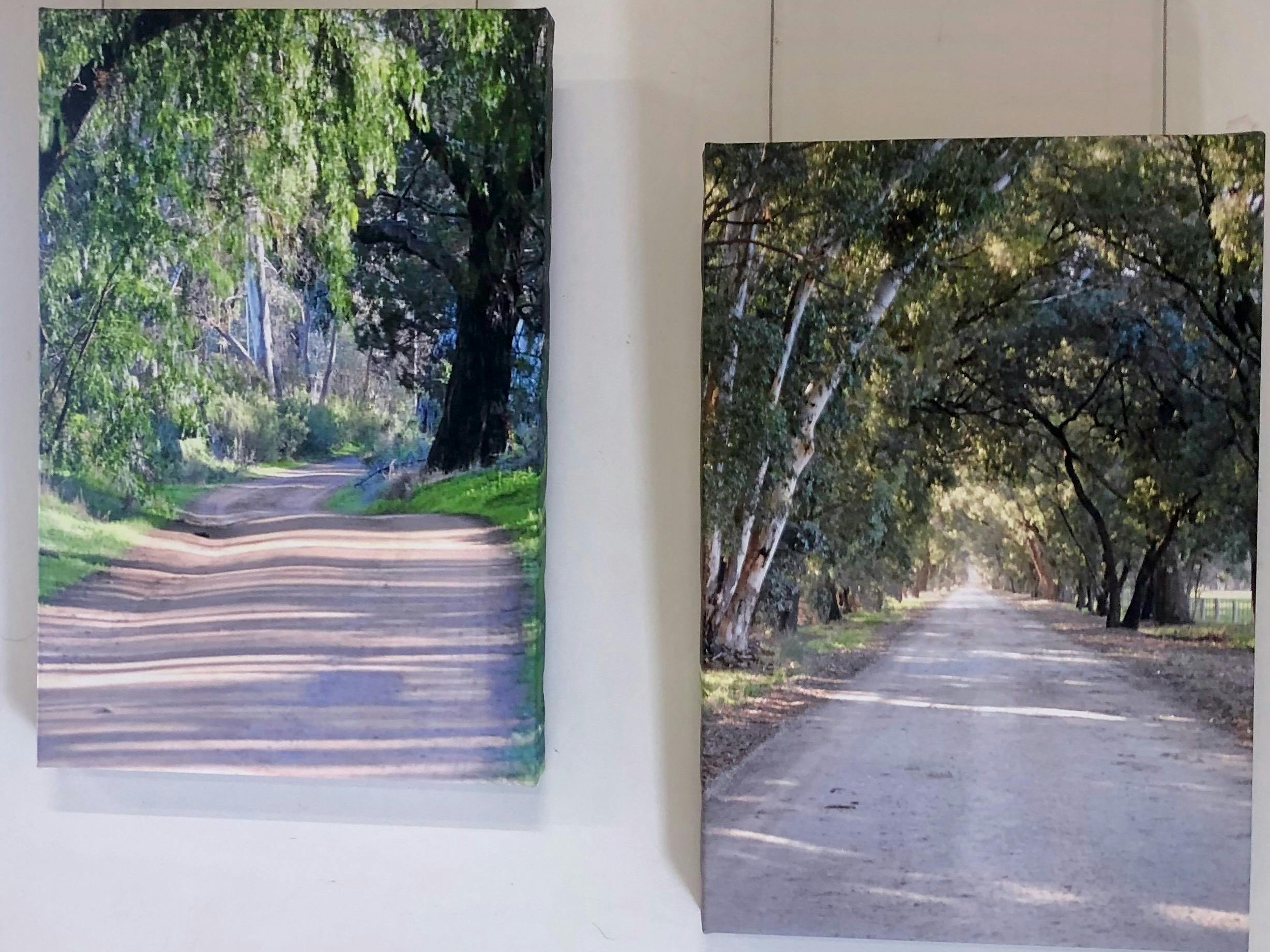 兩幅並排懸掛的林蔭小徑畫