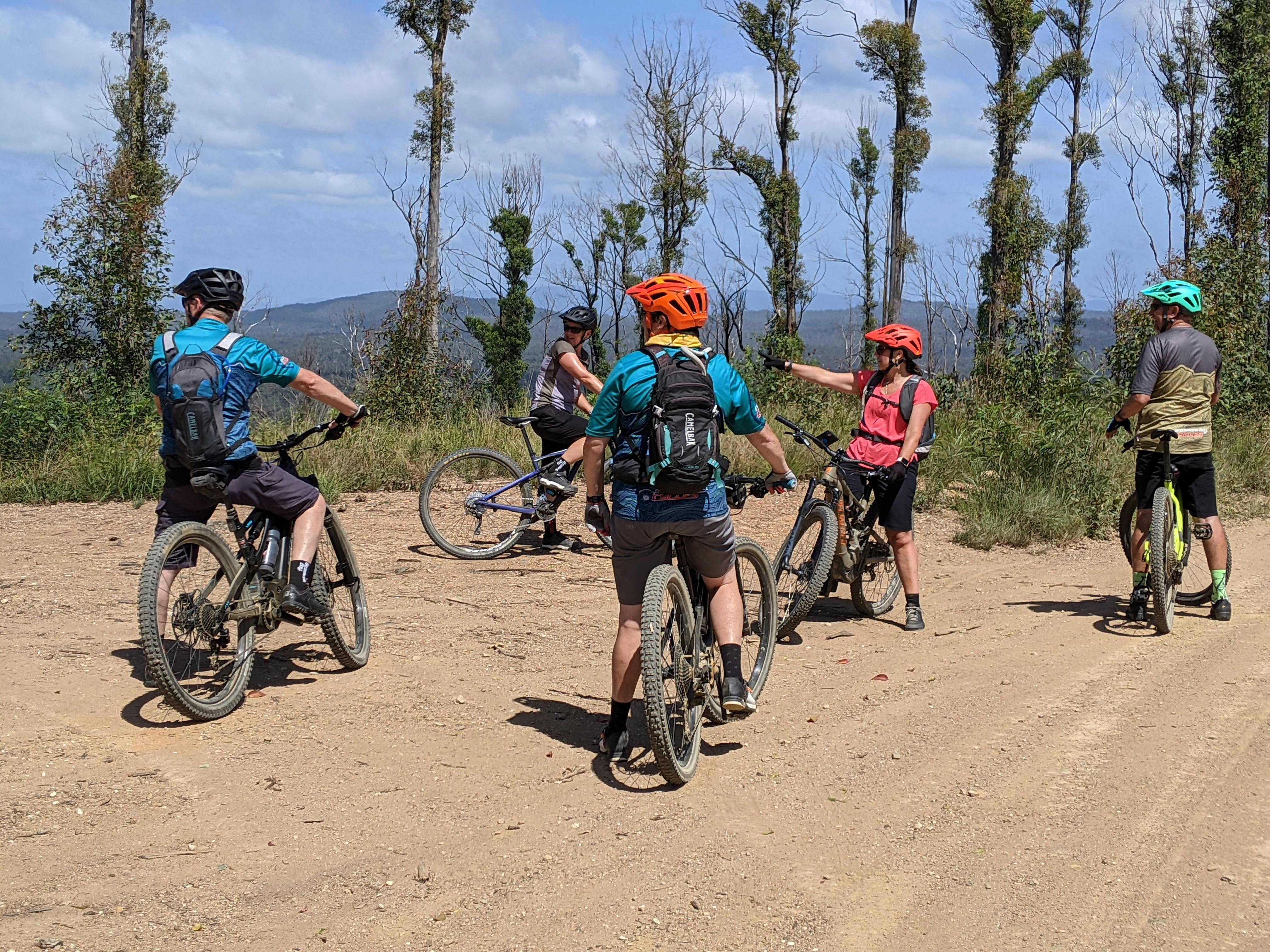 group of mountain bikers looking at the view