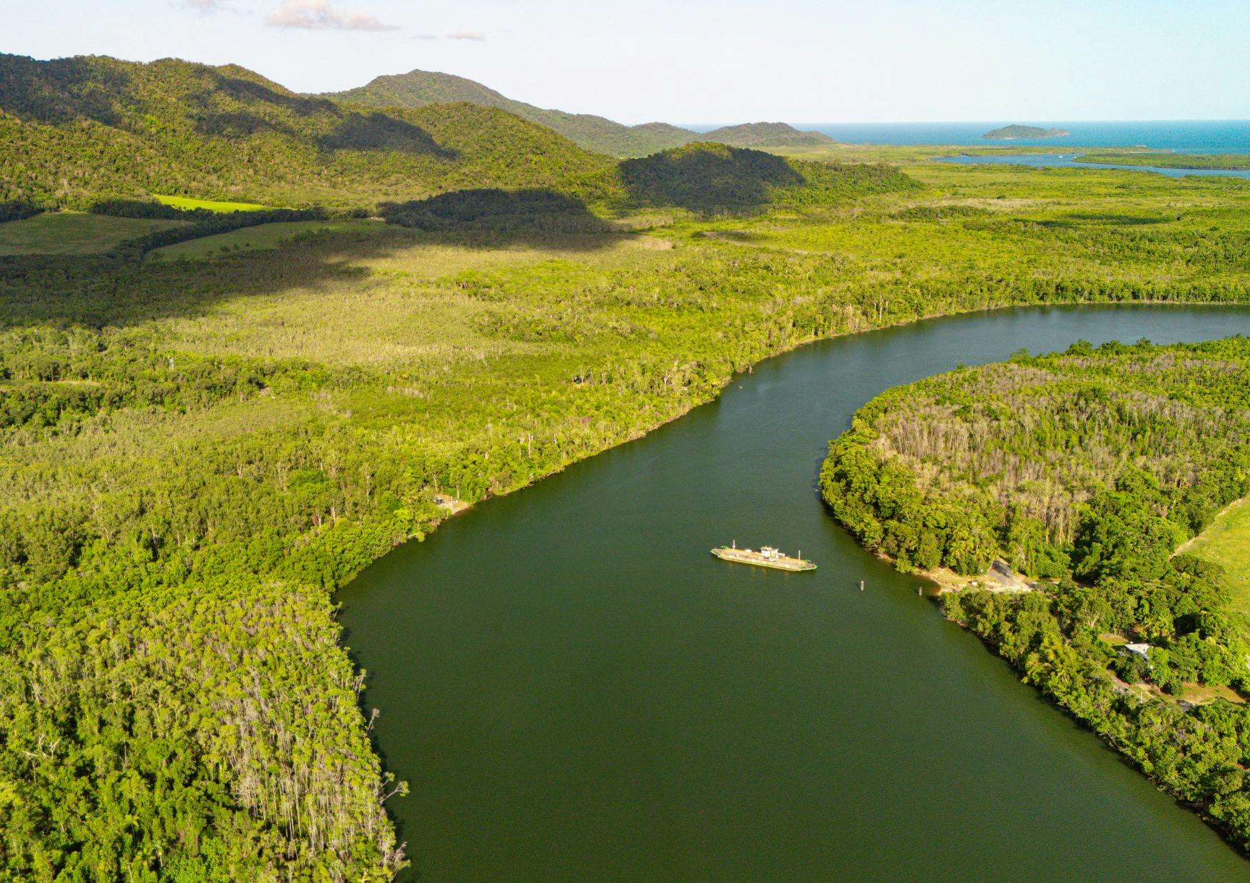 Daintree River