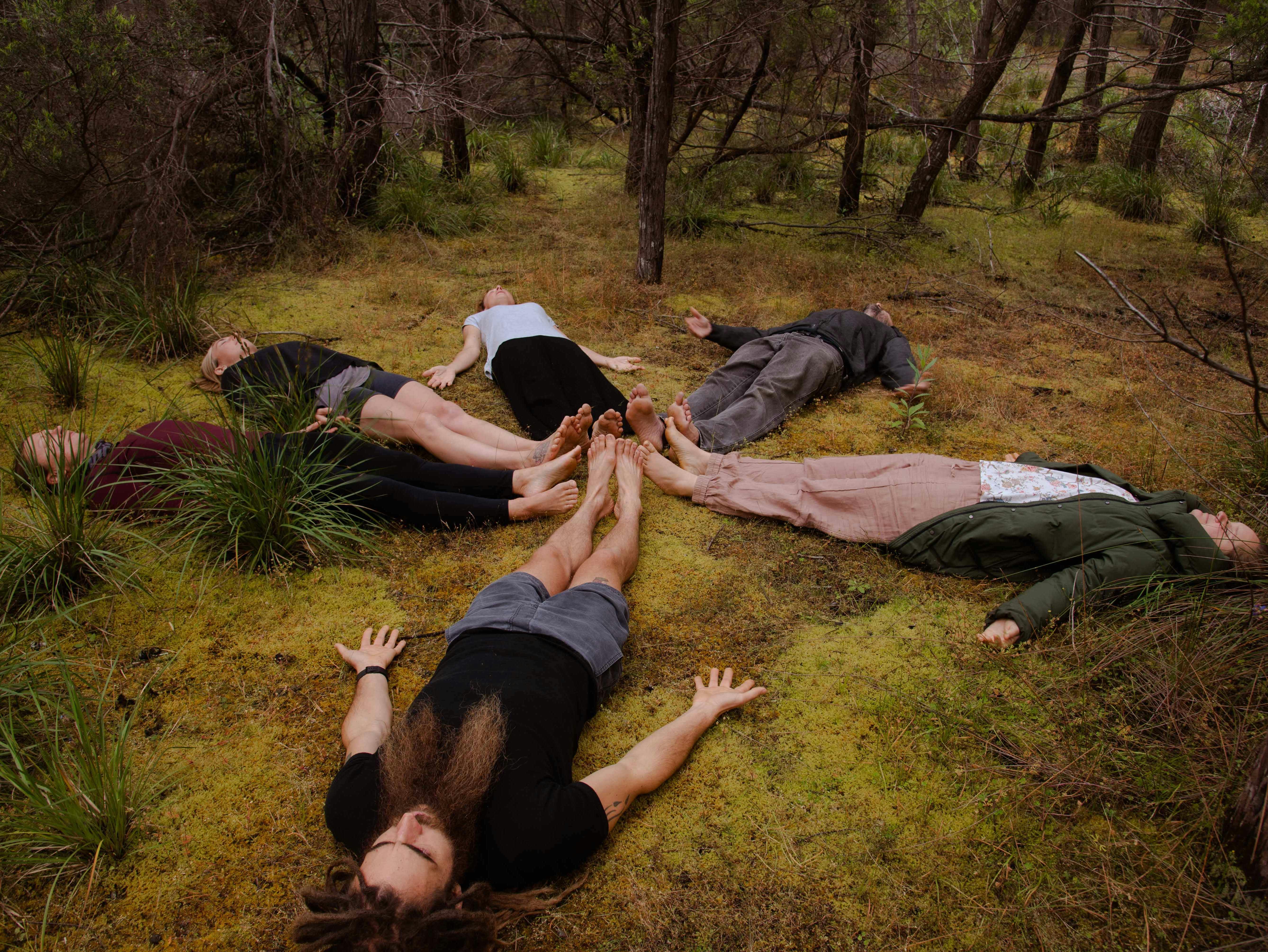 forest bathing