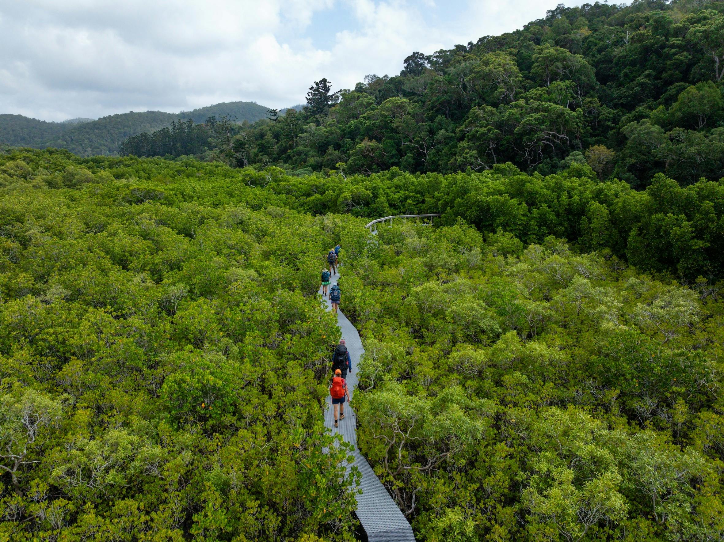 Ngaro Track Walk In Comfort