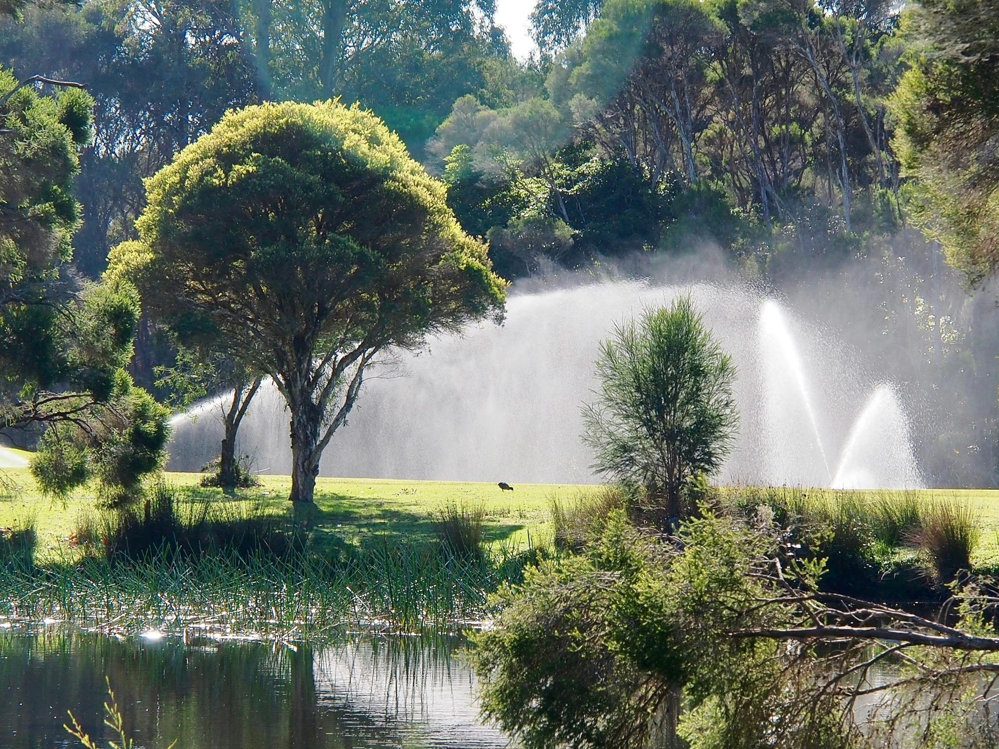 Sprinklers on course
